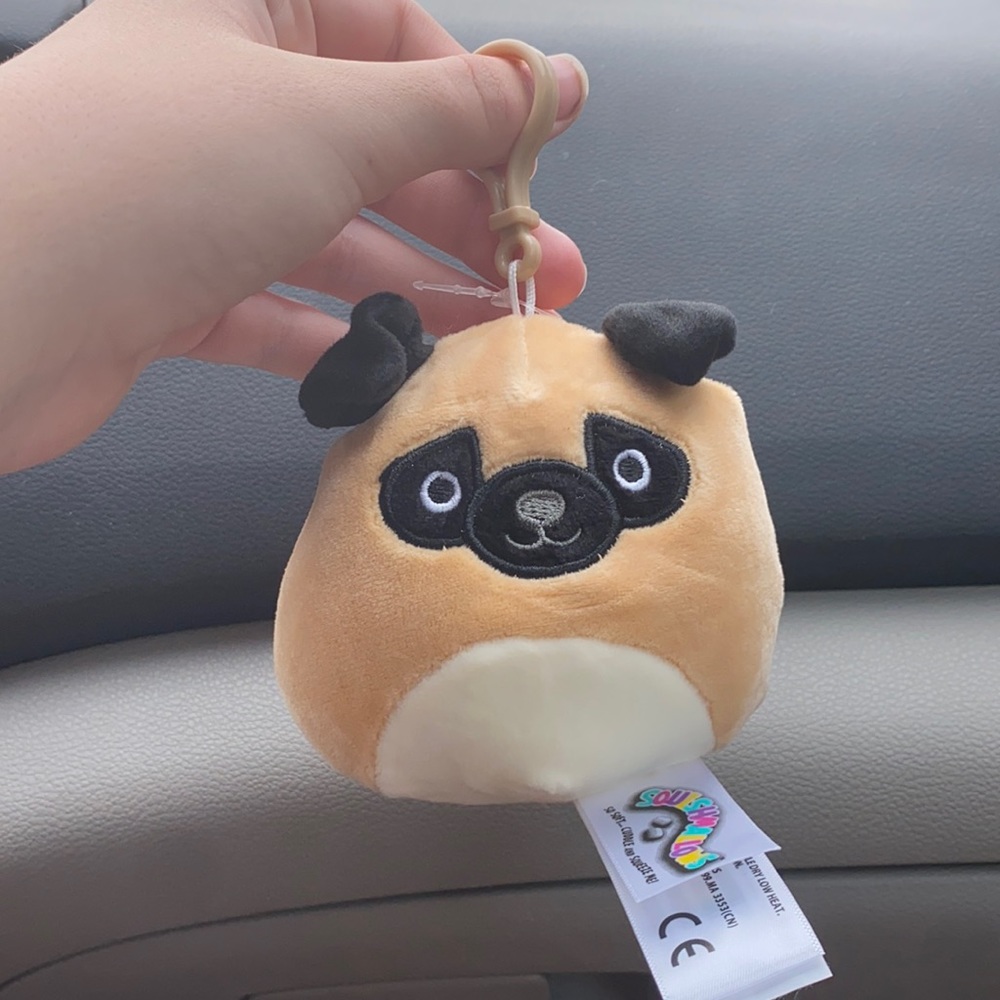 Prince the pug squishmallow FREE WITH PURCHASE